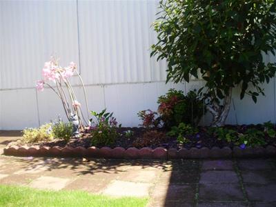 Photo 26