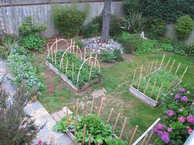 Photo 31