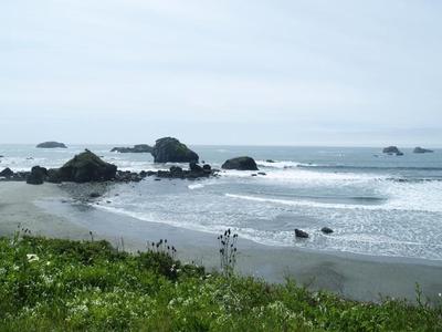 Photo 31