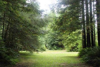 Photo 0
