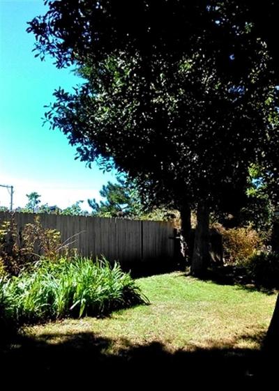 Photo 33