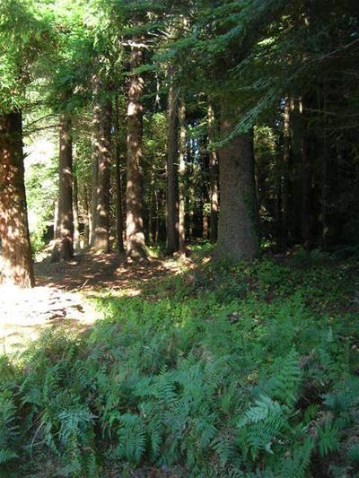 Photo 29