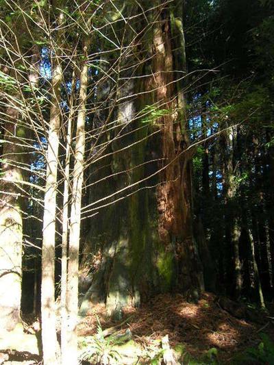 Photo 30