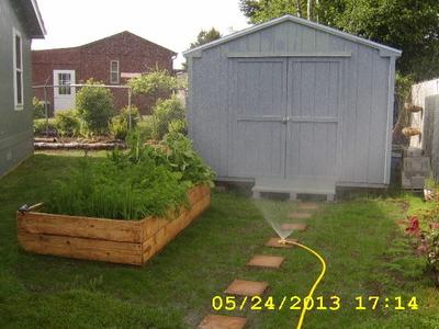 Photo 11