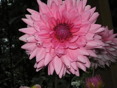 Photo 30