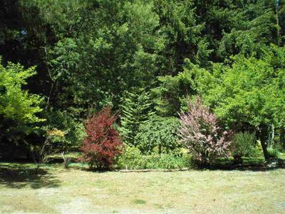 Photo 31