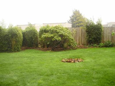 Photo 33