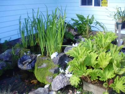 Photo 24