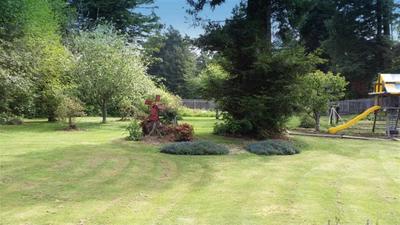 Photo 27