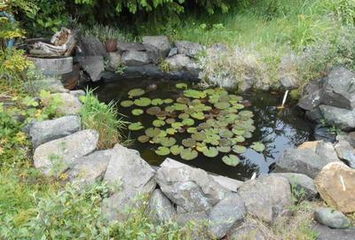 Photo 18