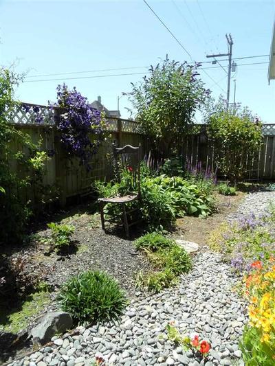 Photo 29