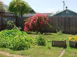 Photo 0