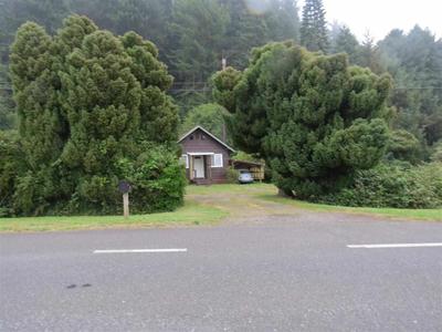 Photo 24
