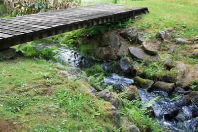 Photo 31