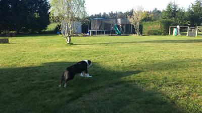 Photo 30