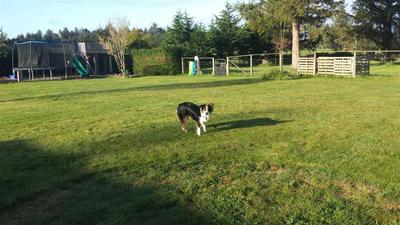 Photo 31
