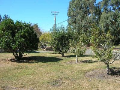 Photo 32