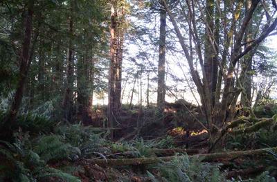 Photo 25