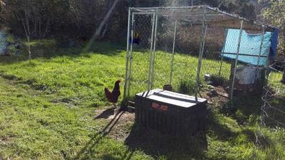 Photo 27