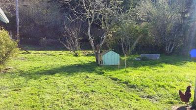 Photo 28