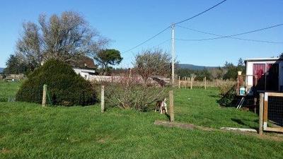 Photo 0