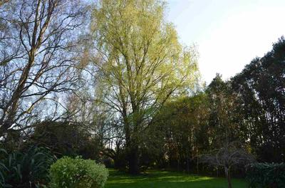 Photo 34