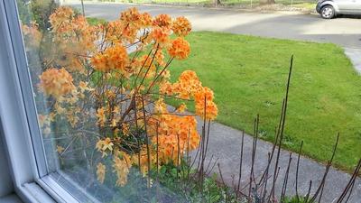 Photo 30