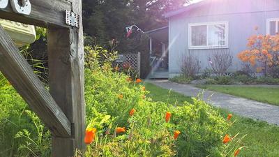Photo 34
