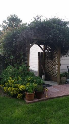 Photo 5