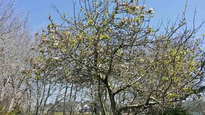 Photo 22