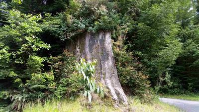 Photo 32