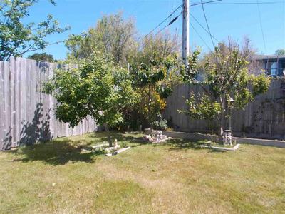 Photo 32