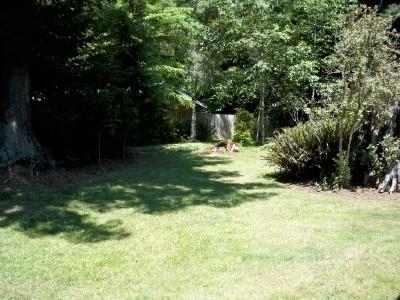 Photo 32