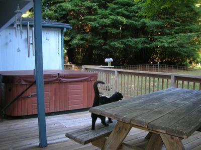 Photo 23