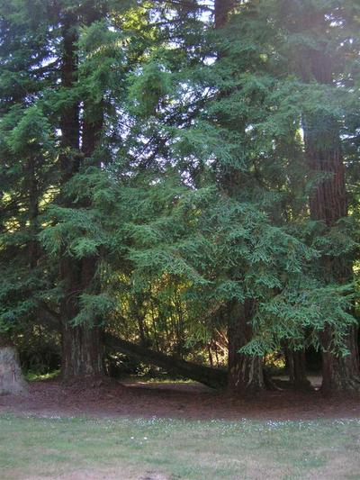 Photo 27