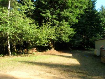 Photo 30