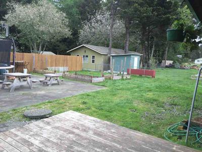 Photo 30