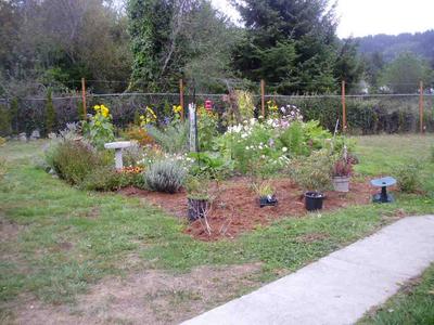 Photo 17