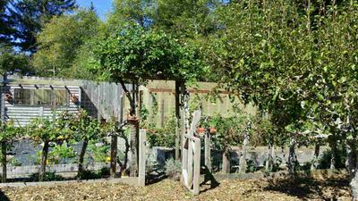 Photo 25