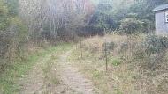 Photo 0