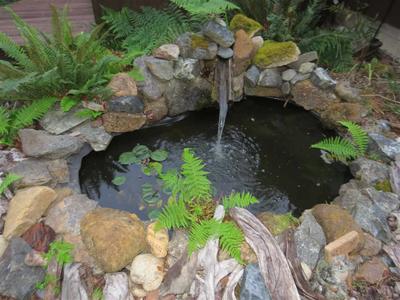 Photo 34
