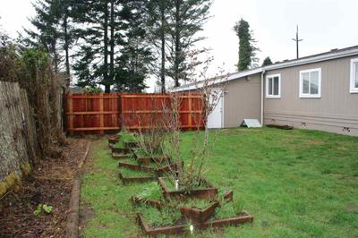 Photo 30