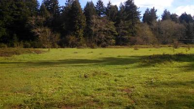 Photo 32