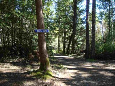 Photo 32