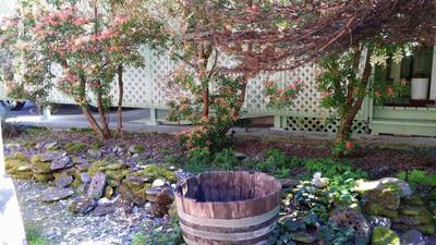 Photo 26
