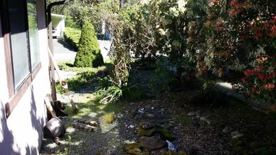 Photo 27