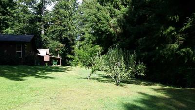 Photo 34