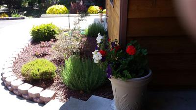 Photo 33