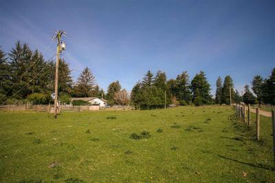 Photo 32