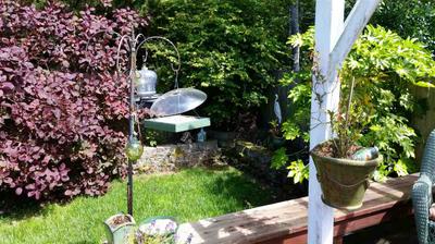 Photo 17
